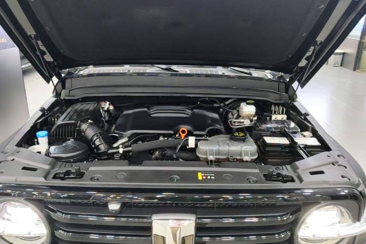 Used Tank 300 2024 2.0T Conqueror Engine Bay