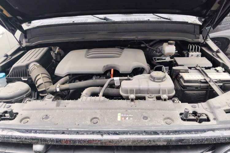 Used Tank 300 2024 2.0T Conqueror Engine Bay