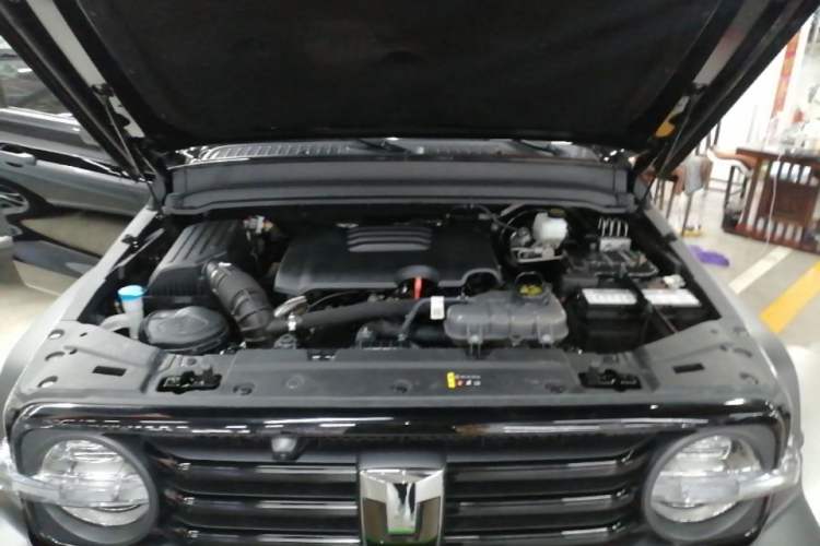 Used Tank 300 2024 2.0T Conqueror Engine Bay
