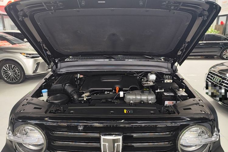 Used Tank 300 2024 2.0T Conqueror Engine Bay
