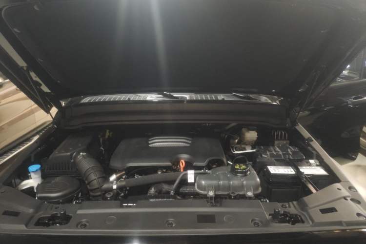 Used Tank 300 2024 2.0T Conqueror Engine Bay