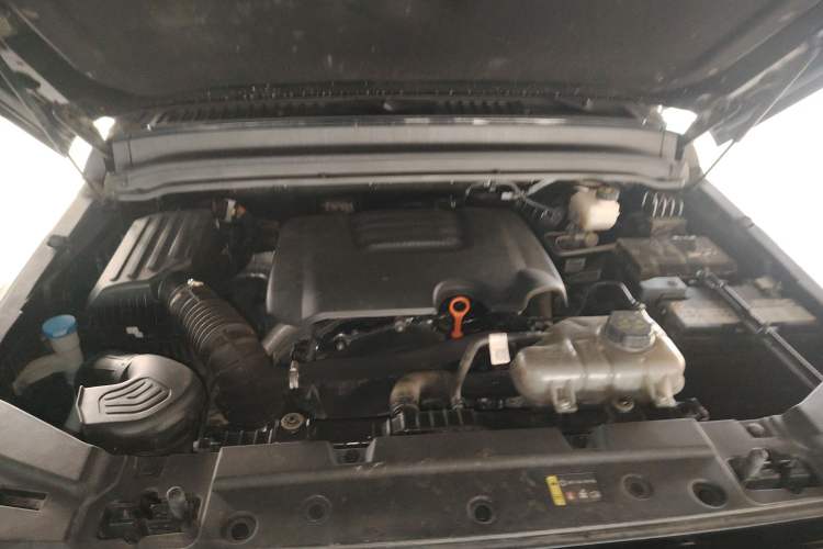 Used Tank 300 2024 2.0T Conqueror Engine Bay