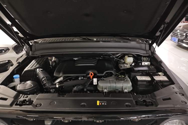 Used Tank 300 2024 2.0T Conqueror Engine Bay