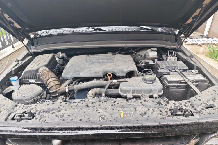 Used Tank 300 2024 2.0T Conqueror Engine Bay