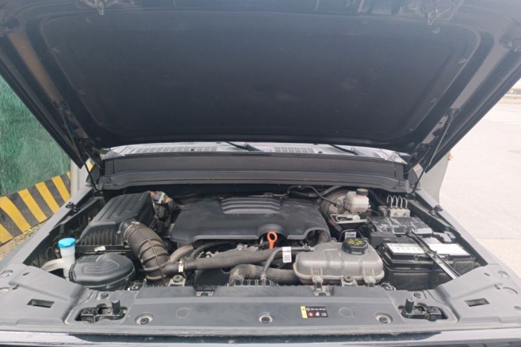 Used Tank 300 2024 2.0T Conqueror Engine Bay