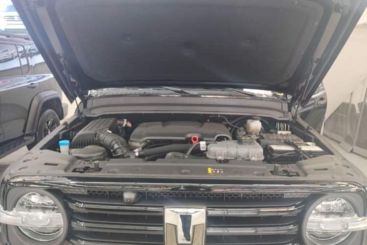 Used Tank 300 2024 2.0T Conqueror Engine Bay