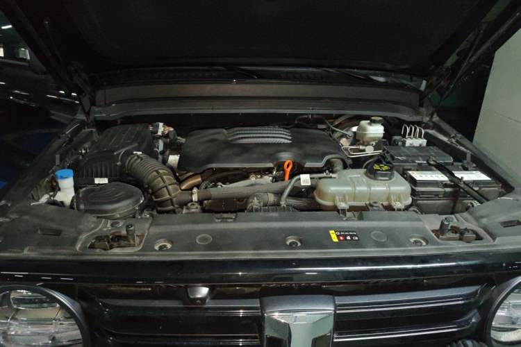 Used Tank 300 2024 2.0T Conqueror Engine Bay