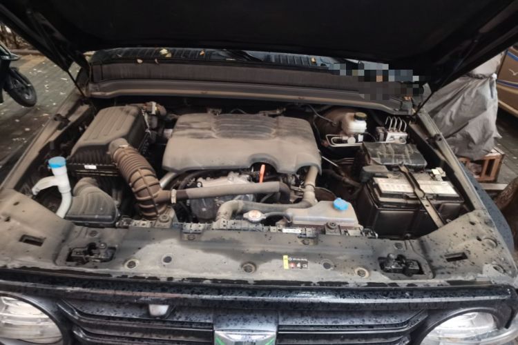 Used Tank 300 2024 2.0T Conqueror Engine Bay