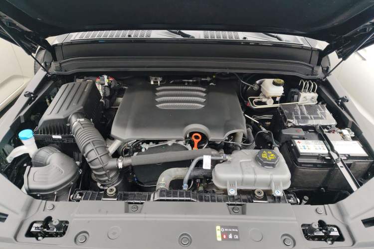 Used Tank 300 2024 2.0T Conqueror Engine Bay