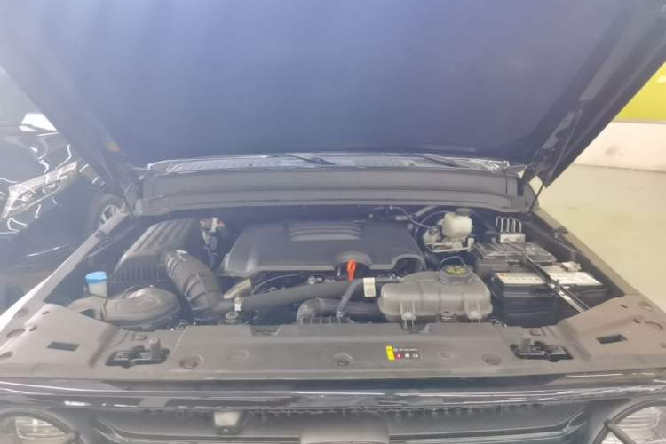 Used Tank 300 2024 2.0T Conqueror Engine Bay