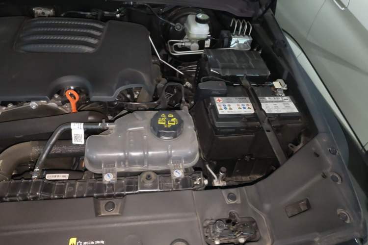 Used Tank 300 2024 2.0T Conqueror Engine Bay Left