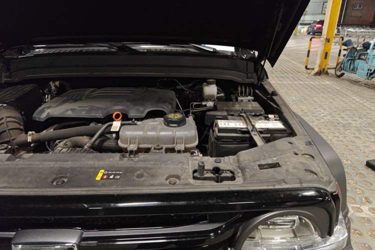 Used Tank 300 2024 2.0T Conqueror Engine Bay Left