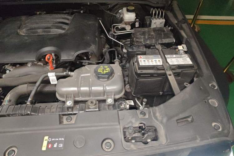 Used Tank 300 2024 2.0T Conqueror Engine Bay Left