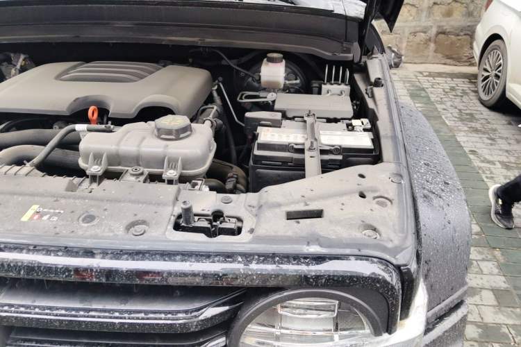 Used Tank 300 2024 2.0T Conqueror Engine Bay Left