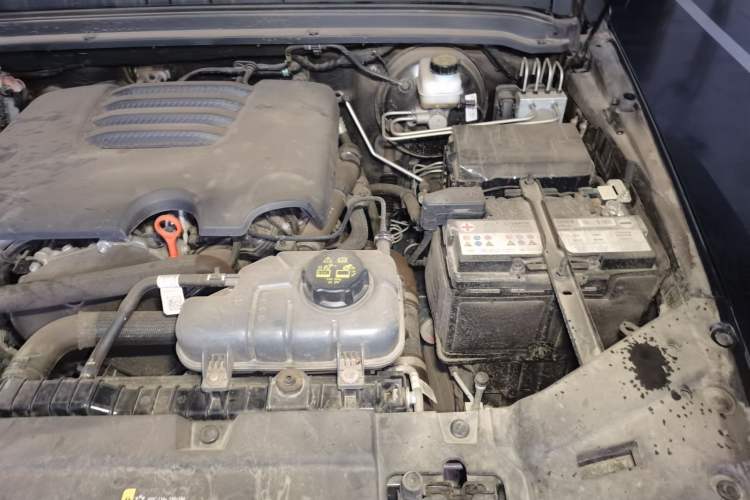 Used Tank 300 2024 2.0T Conqueror Engine Bay Left