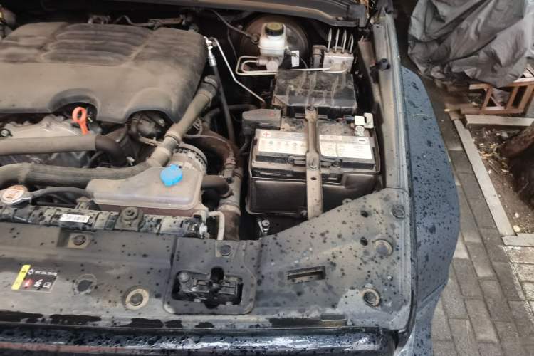 Used Tank 300 2024 2.0T Conqueror Engine Bay Left