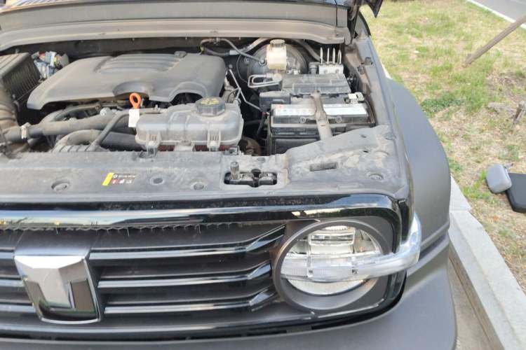 Used Tank 300 2024 2.0T Conqueror Engine Bay Left