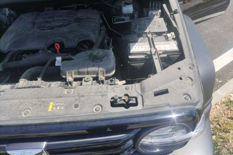 Used Tank 300 2024 2.0T Conqueror Engine Bay Left