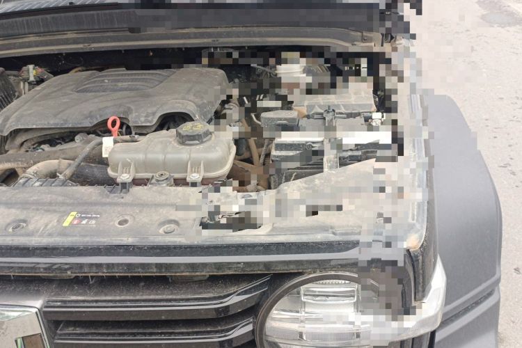 Used Tank 300 2024 2.0T Conqueror Engine Bay Left
