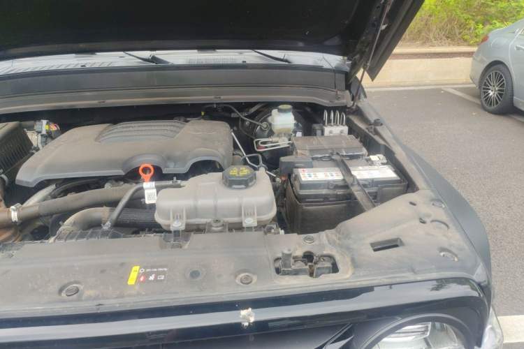 Used Tank 300 2024 2.0T Conqueror Engine Bay Left