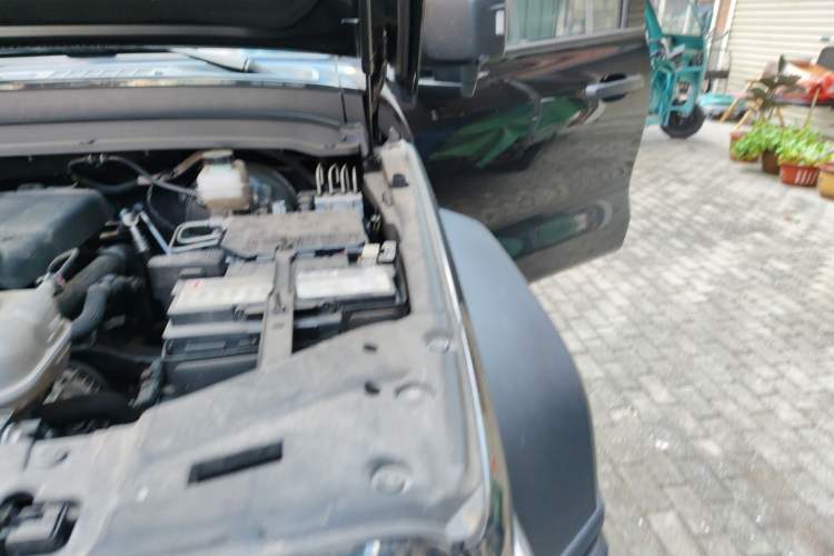 Used Tank 300 2024 2.0T Conqueror Engine Bay Left