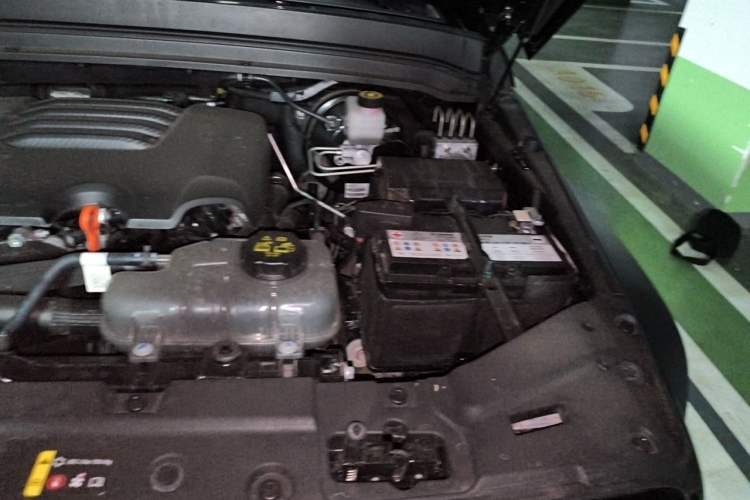 Used Tank 300 2024 2.0T Conqueror Engine Bay Left