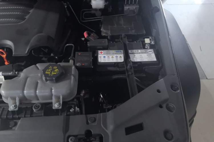 Used Tank 300 2024 2.0T 3rd Anniversary Limited Edition Engine Bay Left