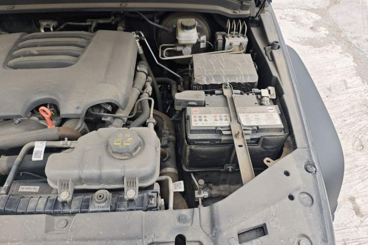 Used Tank 300 2024 2.0T Conqueror Engine Bay Left