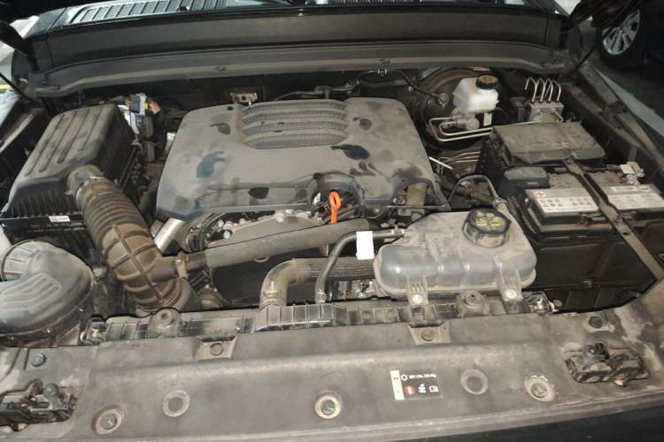 Used Tank 300 2024 2.0T Conqueror Engine Bay