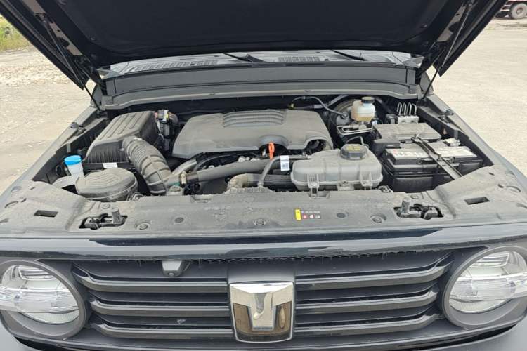 Used Tank 300 2024 2.0T Conqueror Engine Bay