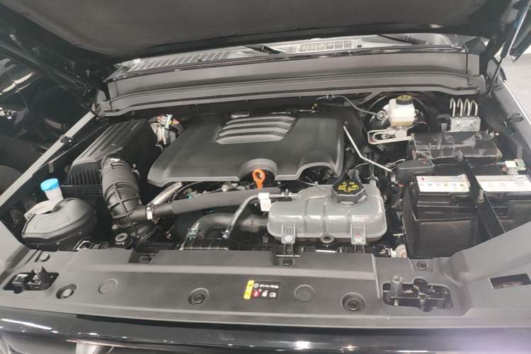 Used Tank 300 2024 2.0T Conqueror Engine Bay