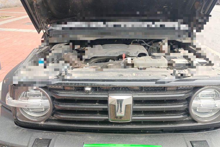 Used Tank 300 2024 2.0T Conqueror Engine Bay