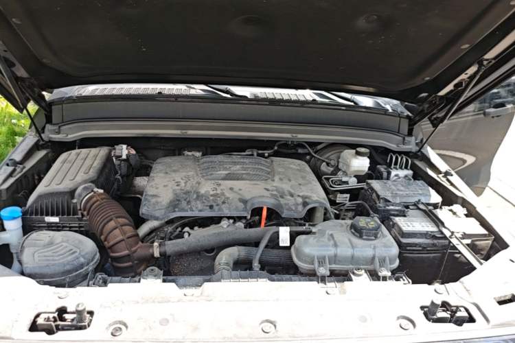 Used Tank 300 2024 2.0T Conqueror Engine Bay