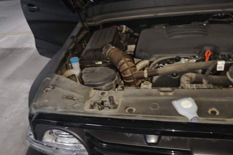 Used Tank 300 2024 2.0T Challenger Engine Bay Right