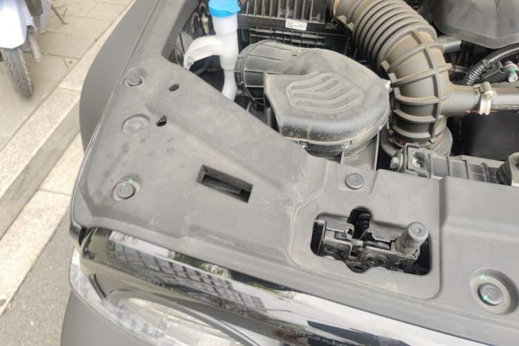 Used Tank 300 2024 2.0T Conqueror Engine Bay Right