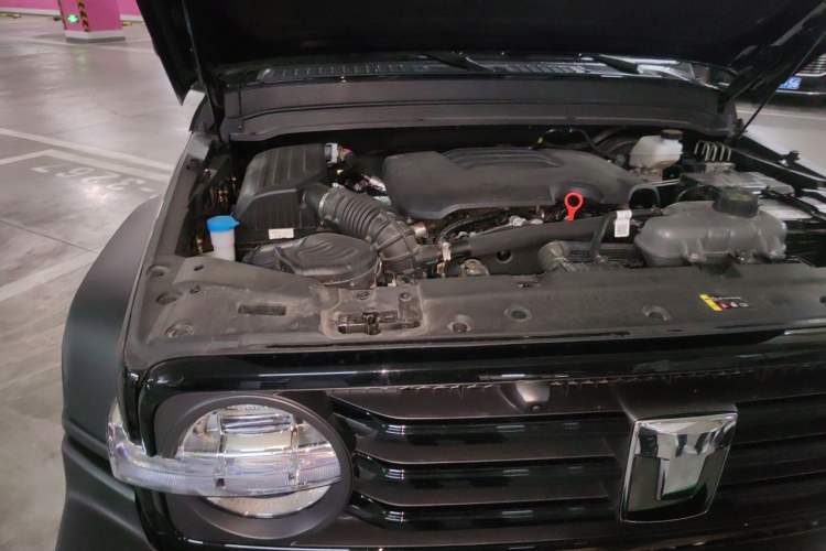 Used Tank 300 2024 2.0T Conqueror Engine Bay Right