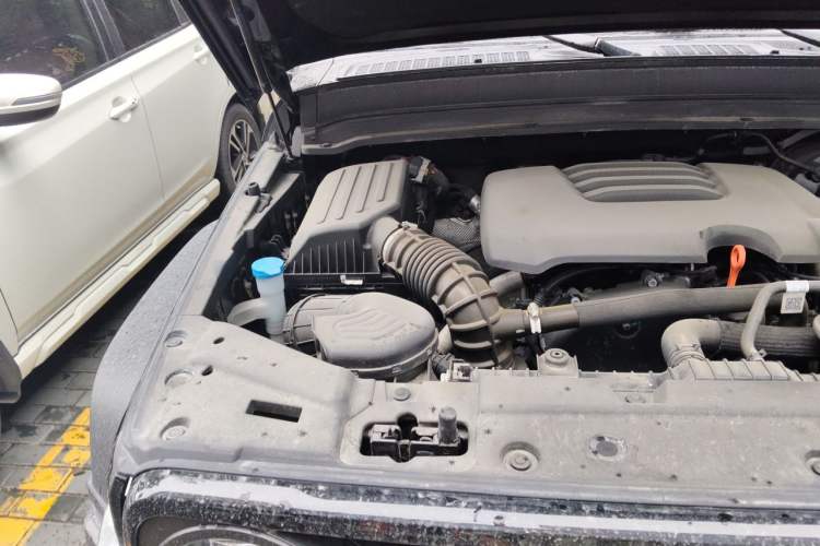 Used Tank 300 2024 2.0T Conqueror Engine Bay Right