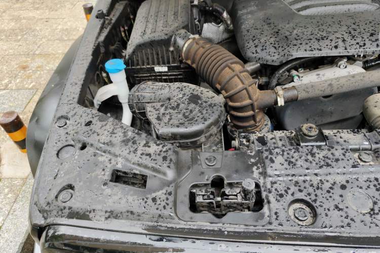 Used Tank 300 2024 2.0T Challenger Engine Bay Right