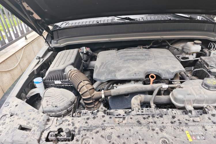 Used Tank 300 2024 2.0T Conqueror Engine Bay Right