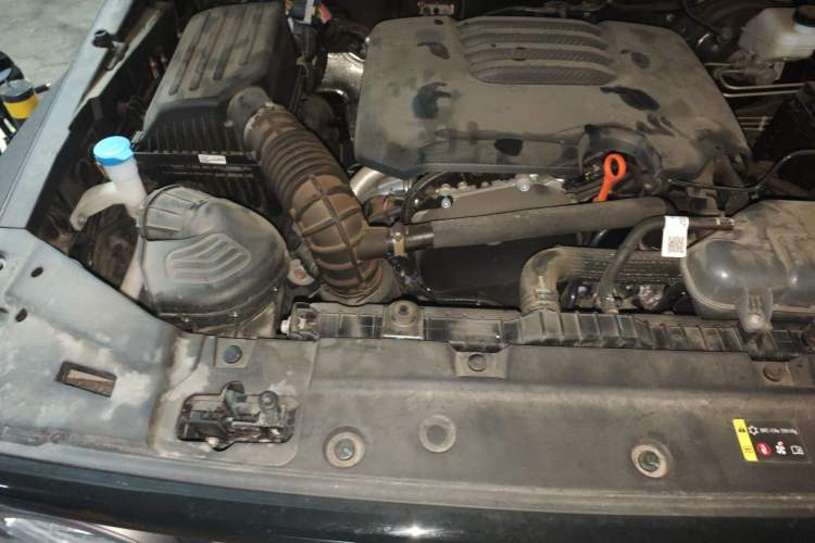 Used Tank 300 2024 2.0T Conqueror Engine Bay Right