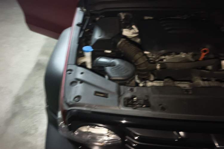 Used Tank 300 2024 2.0T Conqueror Engine Bay Right