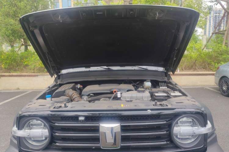 Used Tank 300 2024 2.0T Conqueror Engine Bay