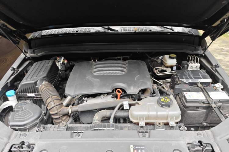 Used Tank 300 2024 2.0T Conqueror Engine Bay
