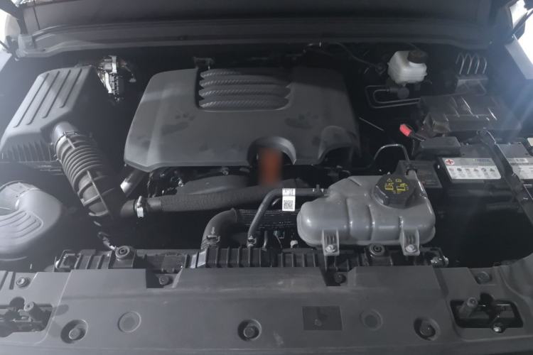 Used Tank 300 2024 2.0T 3rd Anniversary Limited Edition Engine Bay