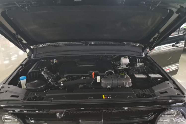 Used Tank 300 2024 2.0T Conqueror Engine Bay