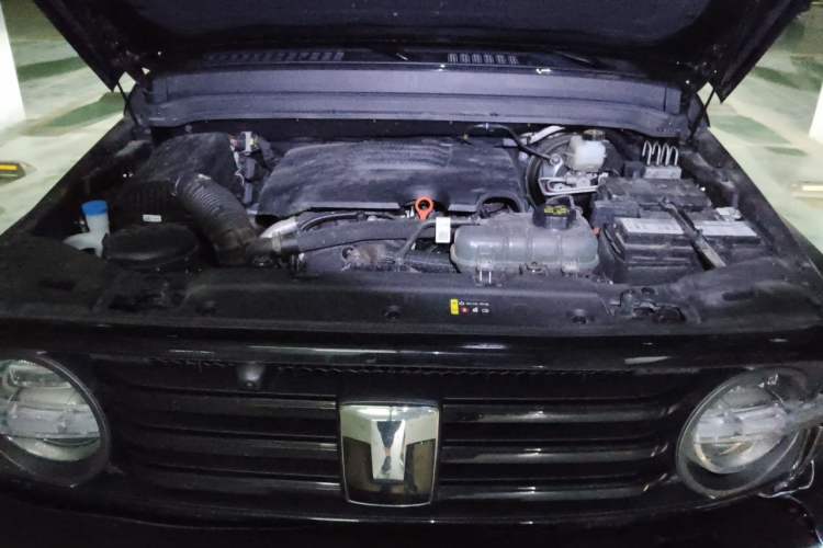 Used Tank 300 2024 2.0T Conqueror Engine Bay
