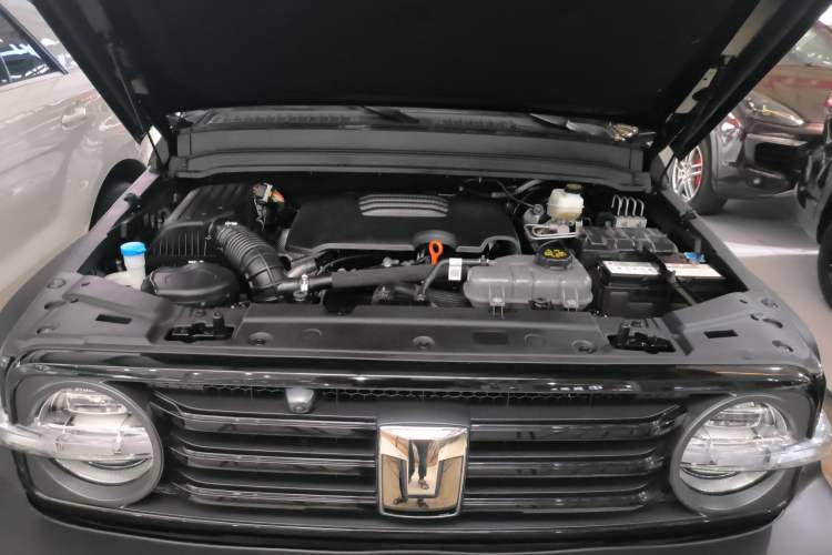 Used Tank 300 2024 2.0T Conqueror Engine Bay