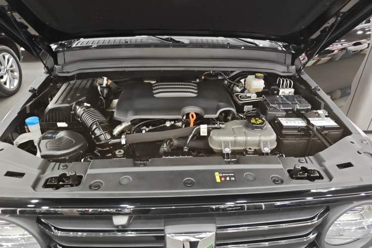Used Tank 300 2024 2.0T Conqueror Engine Bay