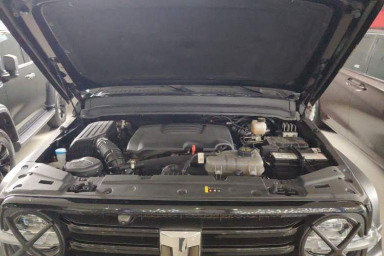 Used Tank 300 2024 2.0T Conqueror Engine Bay