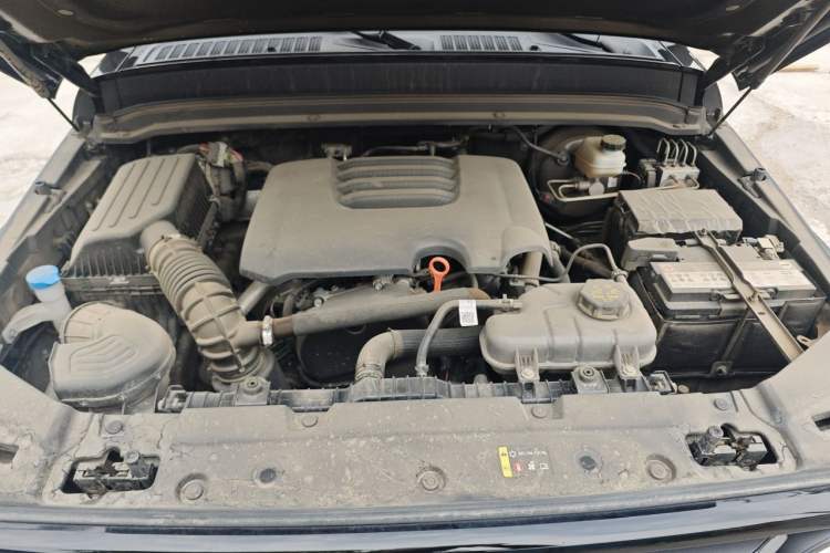 Used Tank 300 2024 2.0T Conqueror Engine Bay